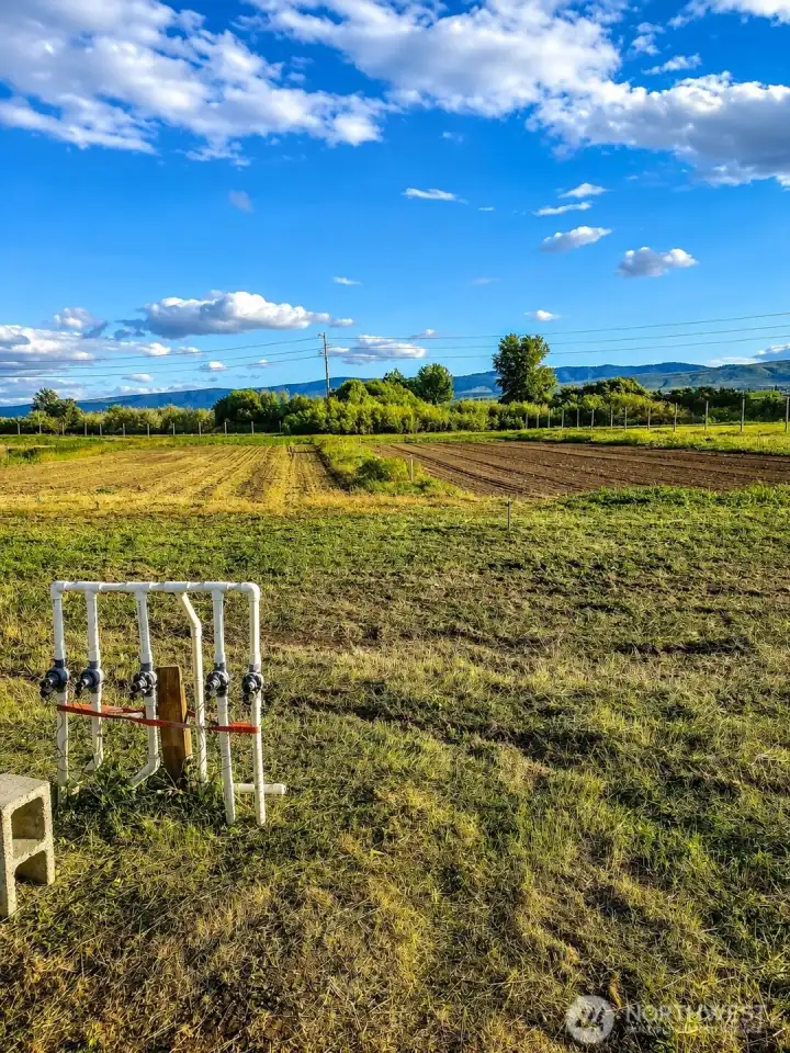 5 zone irrigation