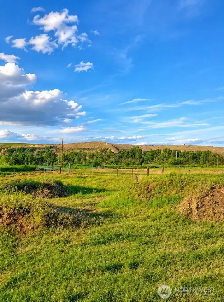 Northeast corner of the property