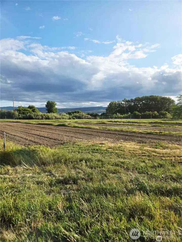 View looking across the property from the north side