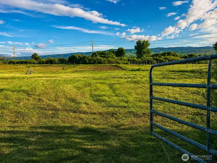 Gate entering the property from the road