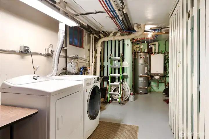 Shared laundry in basement is free.