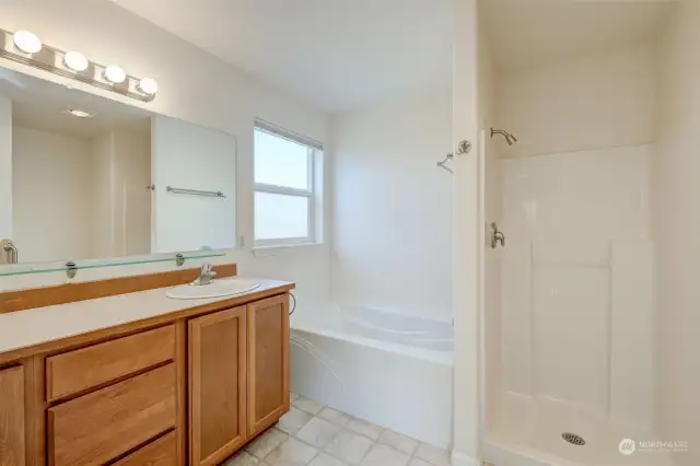 Primary bathroom includes 2 sinks, a soaking tub and a walk-in shower.