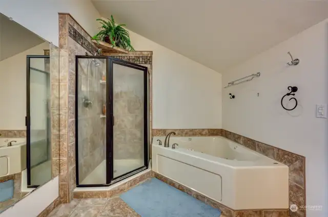 Soaking tub and shower