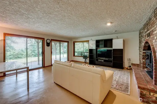 Daylight basement living area with exterior access and fireplace