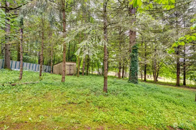 Gentle slope with outbuilding