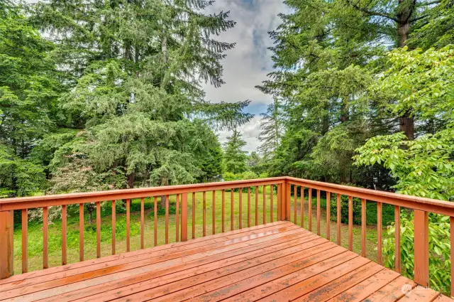 Deck overlooks acreage