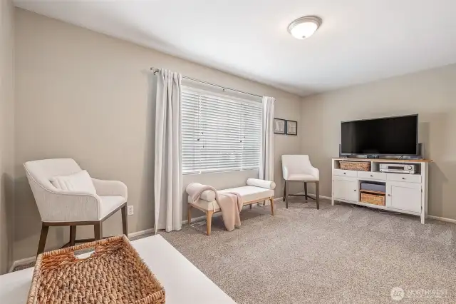 Large Bonus Room