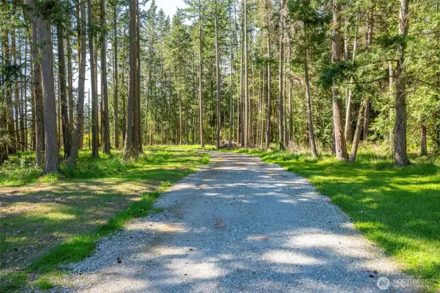 Beautiful private driveway leading to lot A