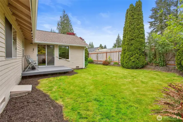 Back Yard