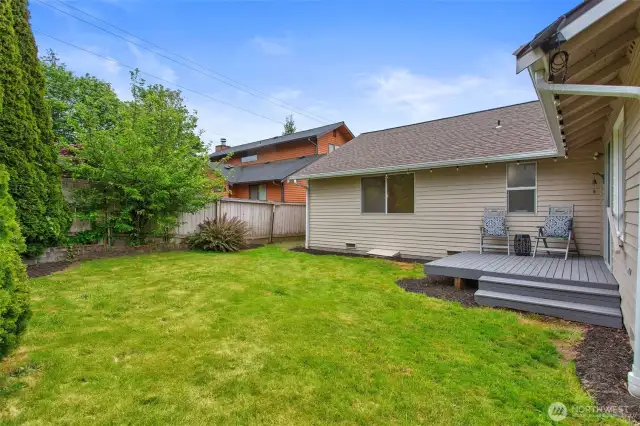 Back Yard