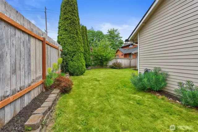 Side Yard
