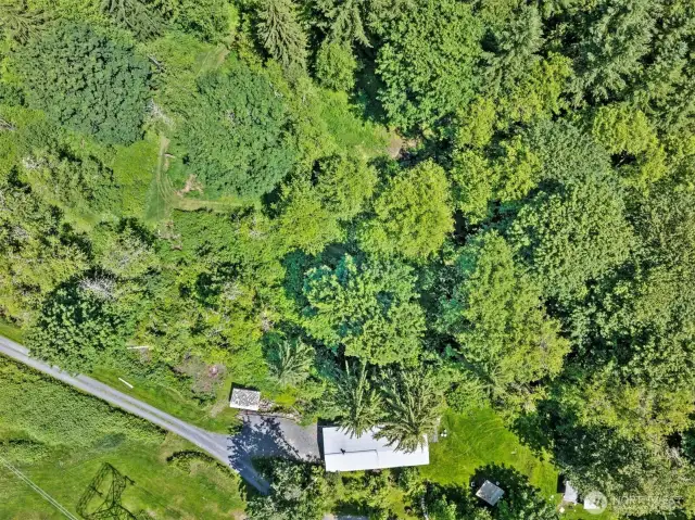 The long driveway, level backyard and some of the wooded trails can be seen here.