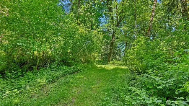 Another beautiful opening in the woods.