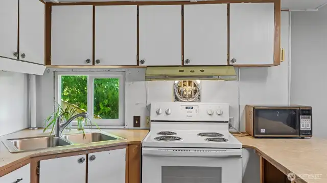 Nothing but greenery out the kitchen window.