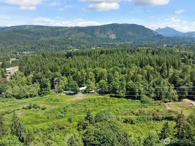 There is a trail at the bottom of this photo that leads from the garden space at the top of the easement down into the woods and loops around the home in the old growth trees beyond.