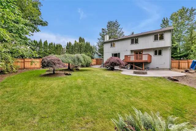 It's a goldilocks kind of back yard. Not too big and not too small. It's just right.