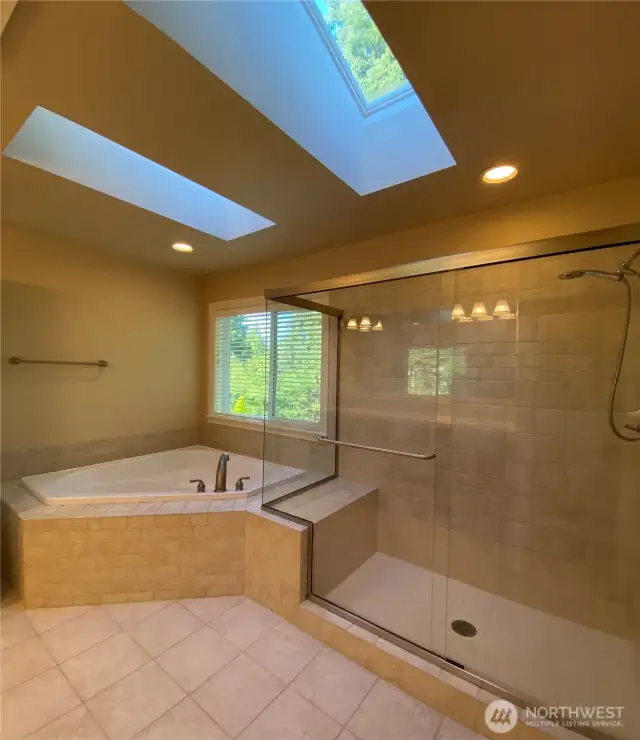Primary Bathroom - Sunlit through Double Skylights