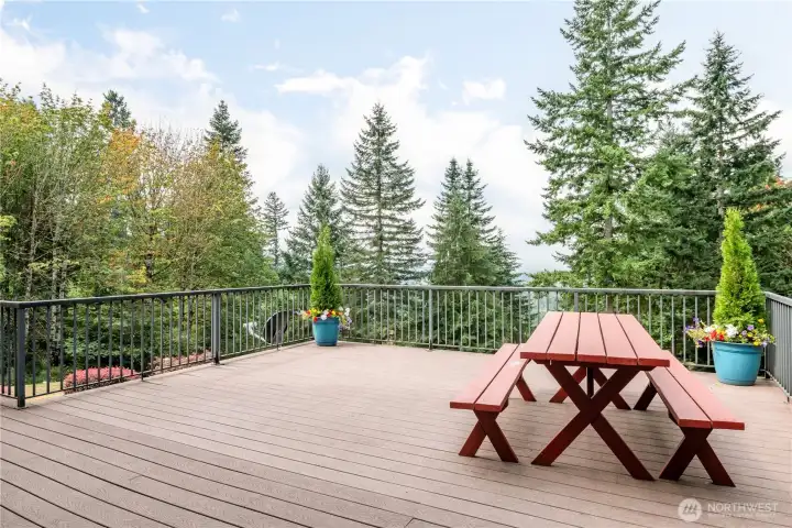 And to think that there's even MORE underneath this Deck!  (Hint: a LARGE PATIO that is once again off a set of french doors that has endless opportunities!)