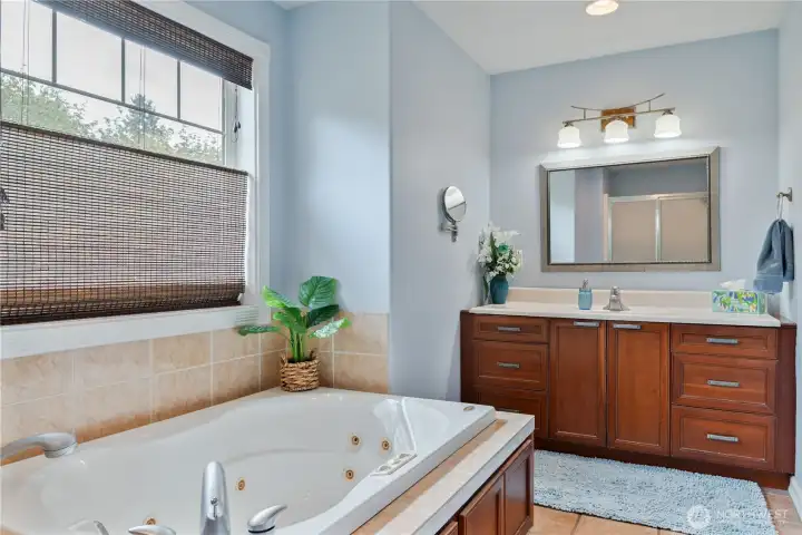 Plenty of room in the Primary Bathroom, with jetted tub, another picture-perfect window, and Shower behind the camera
