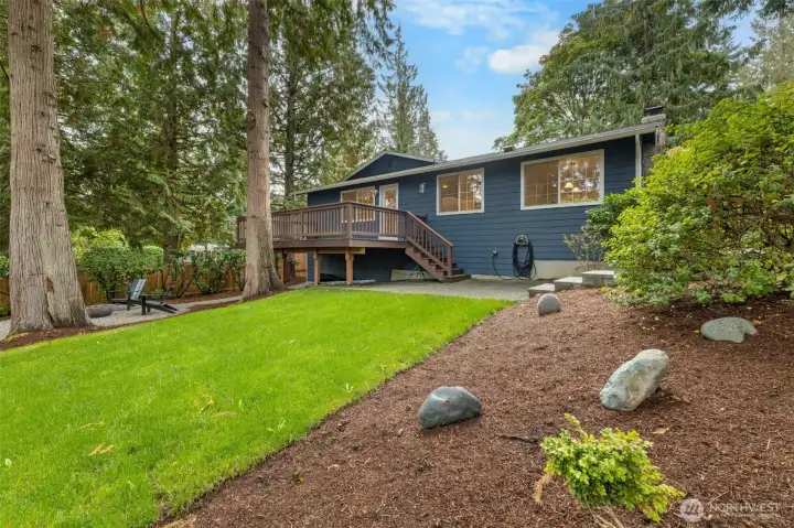Large Fenced Back Yard