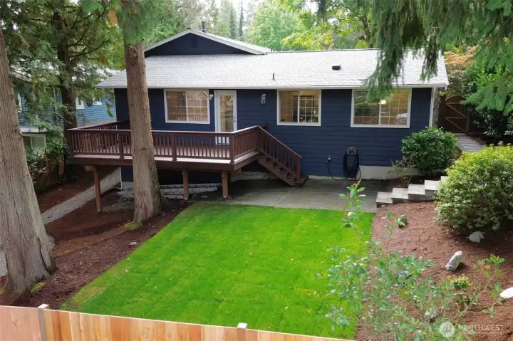 Professionally Trimmed Trees