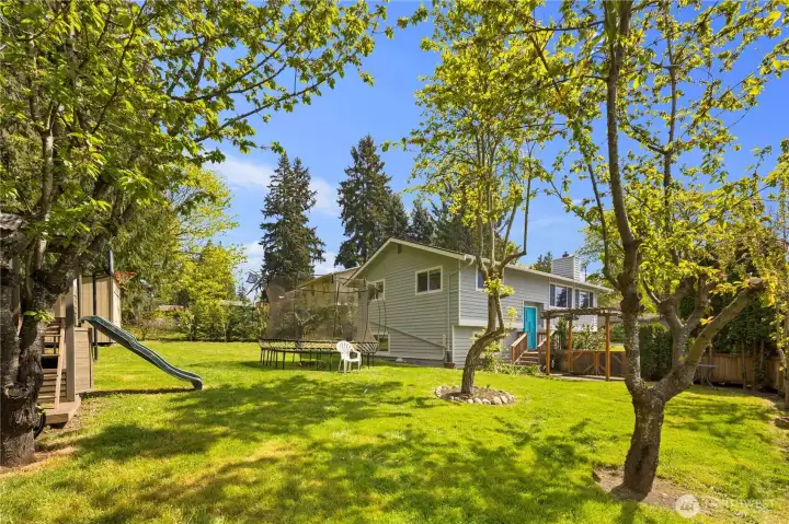 Rear exterior showcasing the home’s updated design, generous lot, and peaceful Rose Hill setting Rear exterior showcasing the home’s updated design, generous lot, and peaceful Rose Hill setting