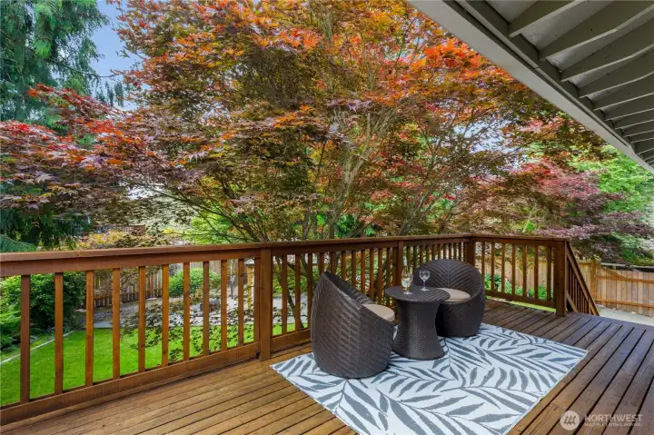 Upper level deck, just off the dining room. Beautiful maple tree! Upper level deck, just off the dining room. Beautiful maple tree!