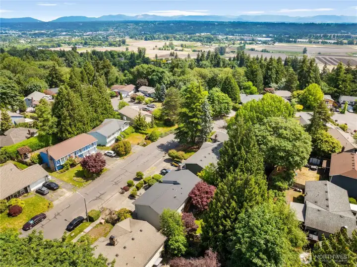 Cambridge, one of Kent's most desirable neighborhoods! Cambridge, one of Kent's most desirable neighborhoods!