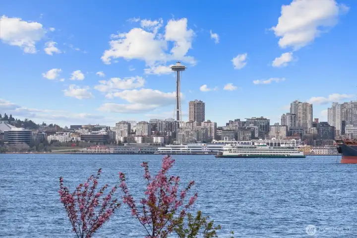 New Year’s Eve fireworks will be unforgettable from your new Alki Beach home, with front-row views that transform the celebration into a truly spectacular experience.
