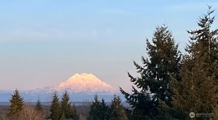 Owner photo showing the stunning Mount Rainier view from the roof top.