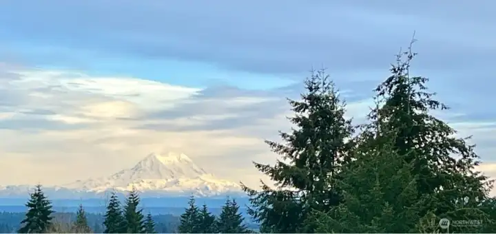 Owner photo of Mount Rainier. Could you possibly ever get tired of this view?