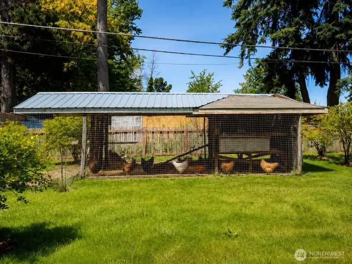 Chicken Coop | A well-built home for poultry and a cornerstone of the property's urban homestead lifestyle. Chicken Coop | A well-built home for poultry and a cornerstone of the property's urban homestead lifestyle.