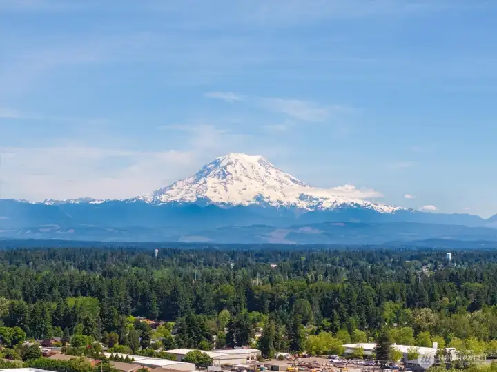 Mount Rainier | Forest trails, rivers, campgrounds and mountain landscapes await beyond Tacoma. Mount Rainier | Forest trails, rivers, campgrounds and mountain landscapes await beyond Tacoma.