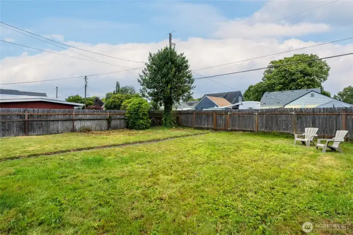 Back Yard