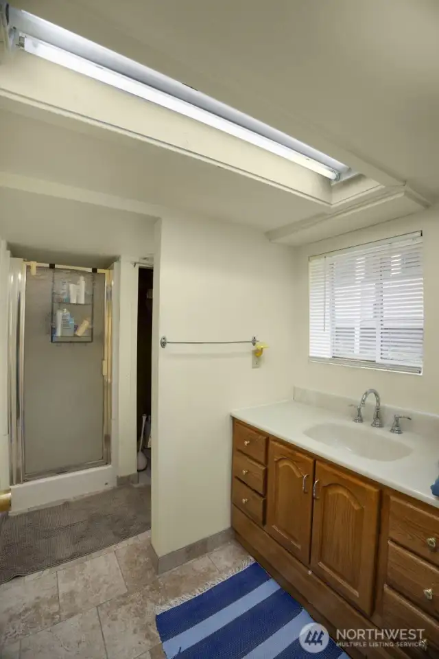 lower level bathroom, toilet, shower, sink