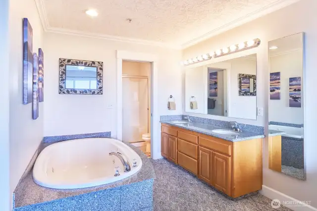 Jetted tub and walk in closet