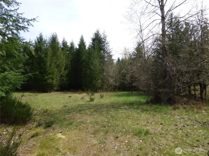 Cleared area is platted area for cul-d-sac and 5 acre lot starts there.