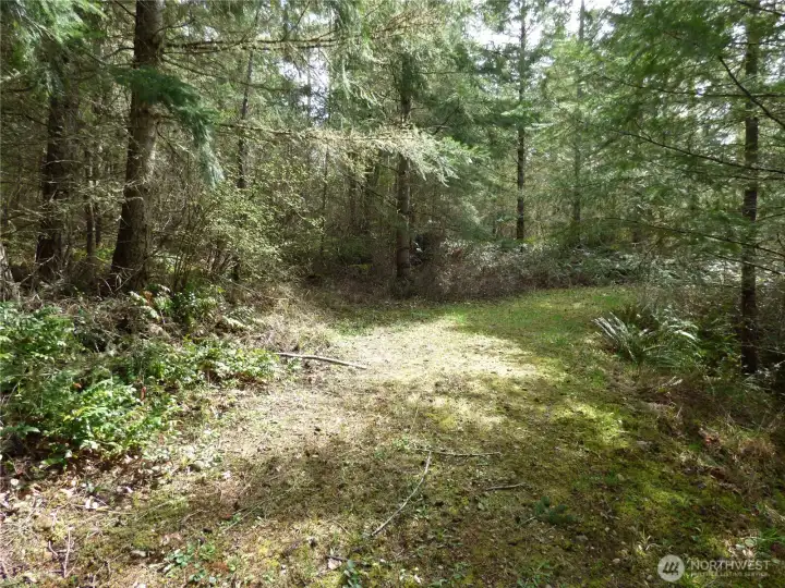 Walking path thru part of the 5 acres.