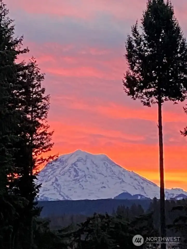 Every day Mt Rainier shows off a different side of it's beauty!!!