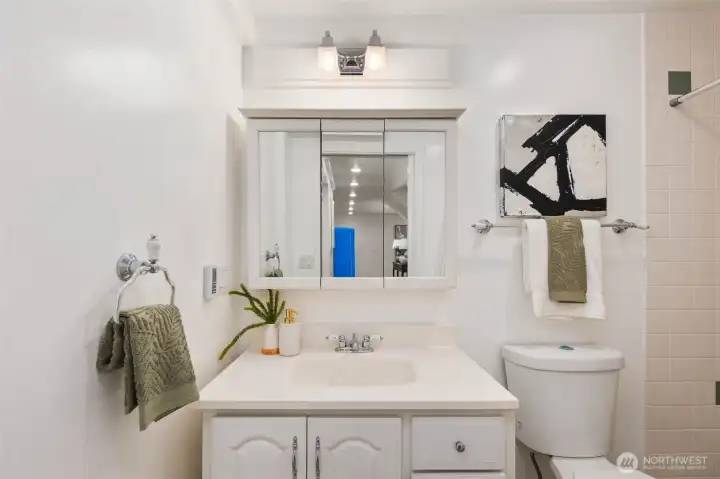 Basement Bathroom