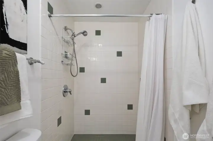 Basement Bathroom