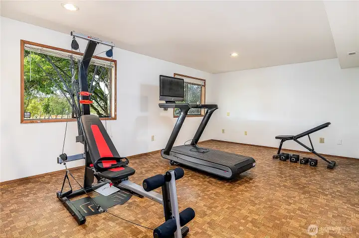 Lower Level Rec Room