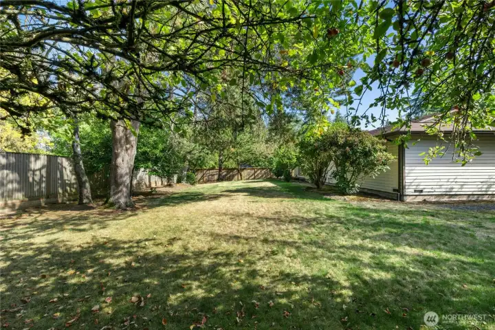 Spacious backyard with plenty of space for garden and entertaining