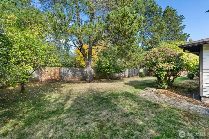 Another view of backyard