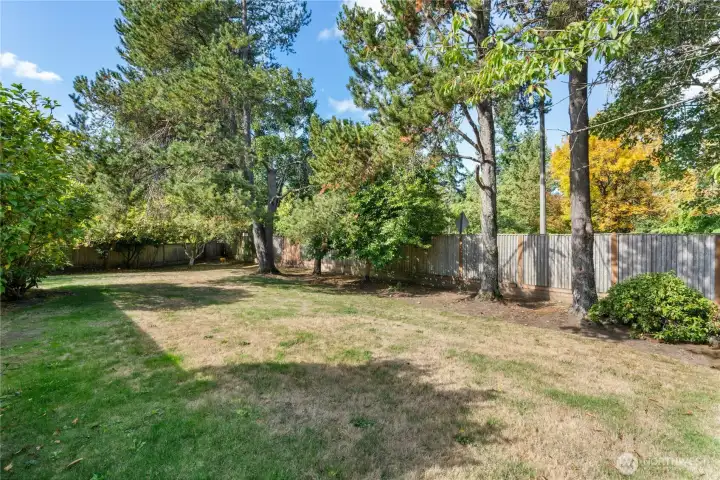 Another view of backyard, spacious with many possibilities