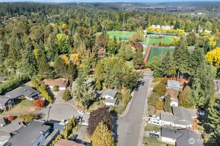 Another Overview