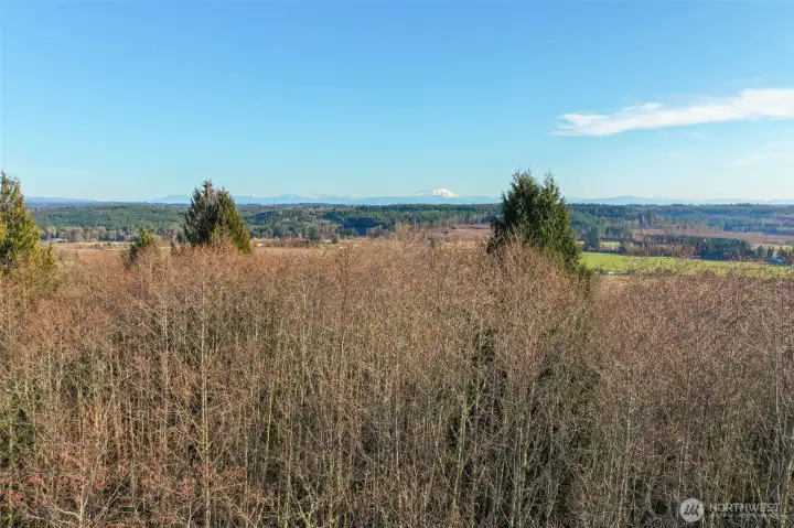 Fantastic Panoramic Mountain Views