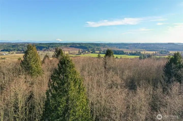 Wake up to this every morning!