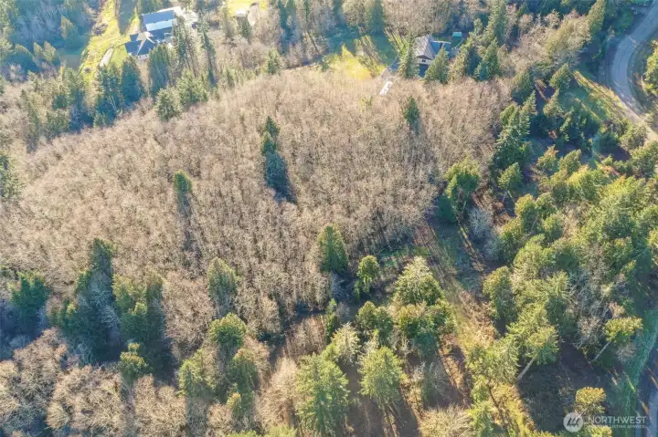 Property abut the upscale Glacier Peak Estates