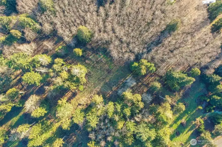 6.46 Acres - 3 Parcels #016903002001,016903002002, 016903002003